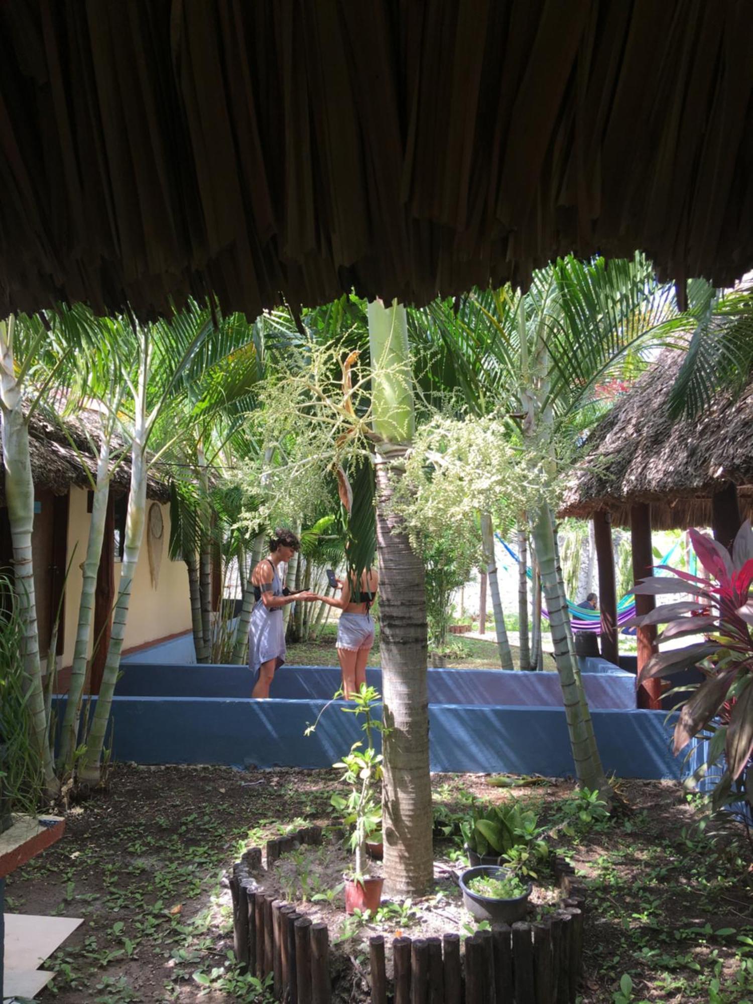 Casa Bokoba Bacalar Hotel Exterior photo